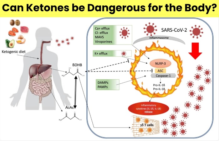 Can Ketones be Dangerous for the Body?