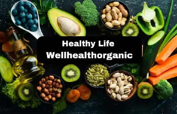 Healthy Life WellHealthOrganic